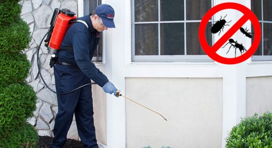 Serik Bit İlaçlama böcek ilaçlama ve haşere kontrolü — ilaclama-tr.com